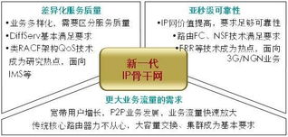 下一代數(shù)據(jù)網(wǎng)網(wǎng)絡(luò)技術(shù)與業(yè)務(wù) 技術(shù)演進(jìn)與服務(wù)創(chuàng)新